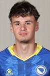 Alajbegovic