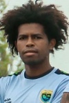 Landauri