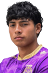 Saavedra Saavedra