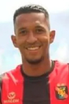 Vidales